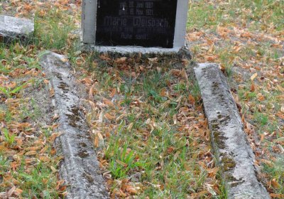 Lom u Mostu, Omnium, 2018