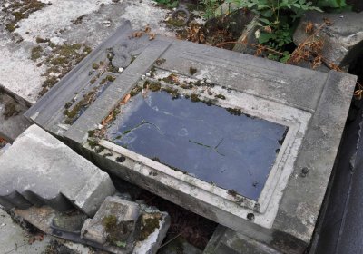 Lom u Mostu, Omnium, 2018