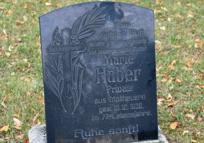 Lom u Mostu, Omnium, 2018