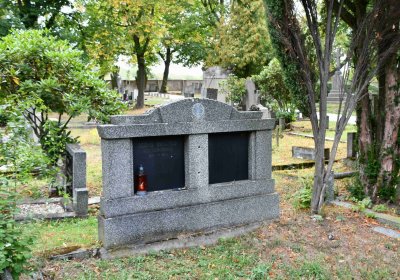 Lom u Mostu, Omnium, 2018