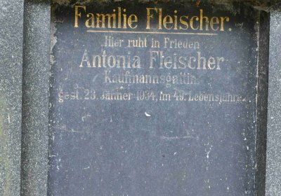 Lom u Mostu, Omnium, 2018