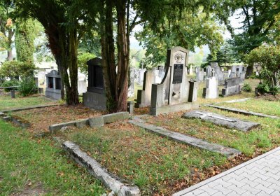 Lom u Mostu, Omnium, 2018