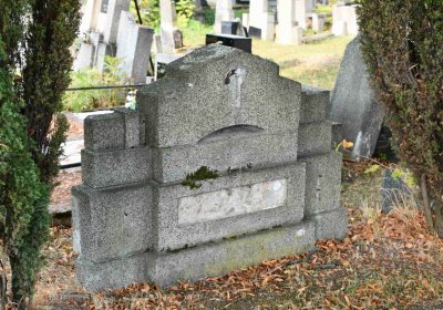 Lom u Mostu, Omnium, 2018