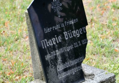 Lom u Mostu, Omnium, 2018