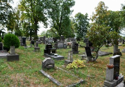 Lom u Mostu, Omnium, 2018