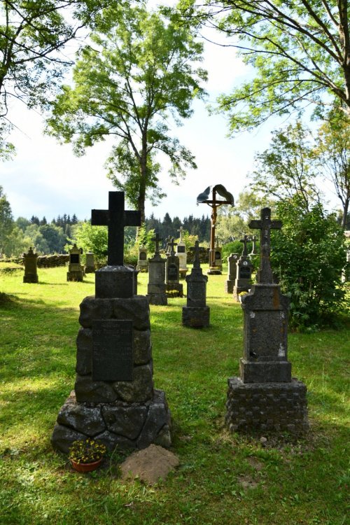 Pleš
