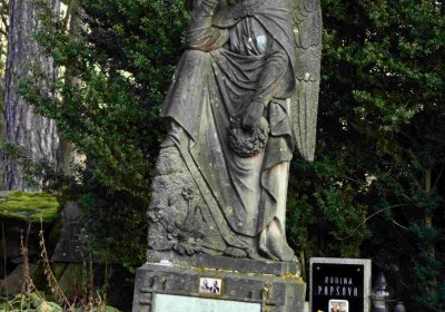 Šimůnek Tomáš, 2017