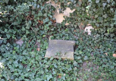 Lipenec, Omnium, 2020