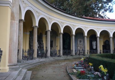 Soviš Dušan, 2017