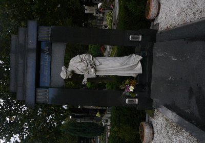 Soviš Dušan, 2017