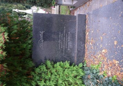 Soviš Dušan, 2017