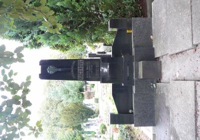 Soviš Dušan, 2017