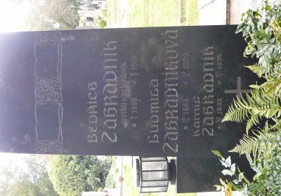 Soviš Dušan, 2017