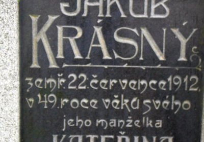 Soviš Dušan, 2016