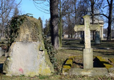 Botos Nikolas