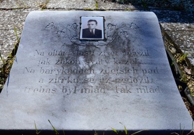 Botos Nikolas