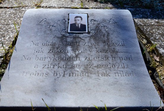 Botos Nikolas