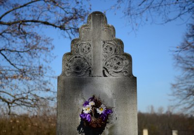 Botos Nikolas
