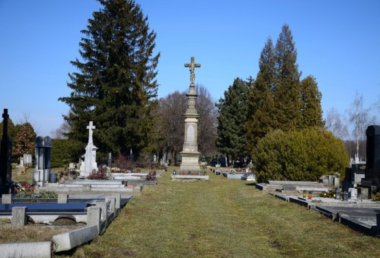 Botos Nikolas