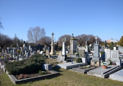 Botos Nikolas