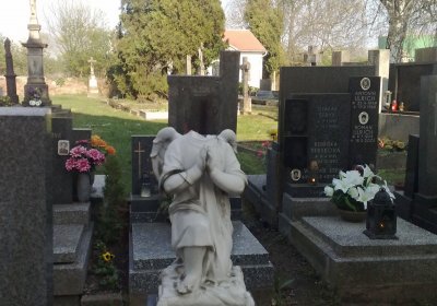 Botos Nikolas, 2016