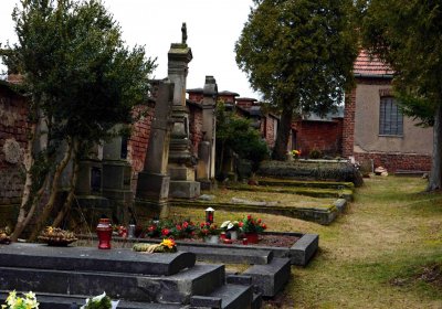 Šimůnek Tomáš, 2017