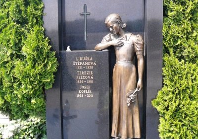 Soviš Dušan, 2016