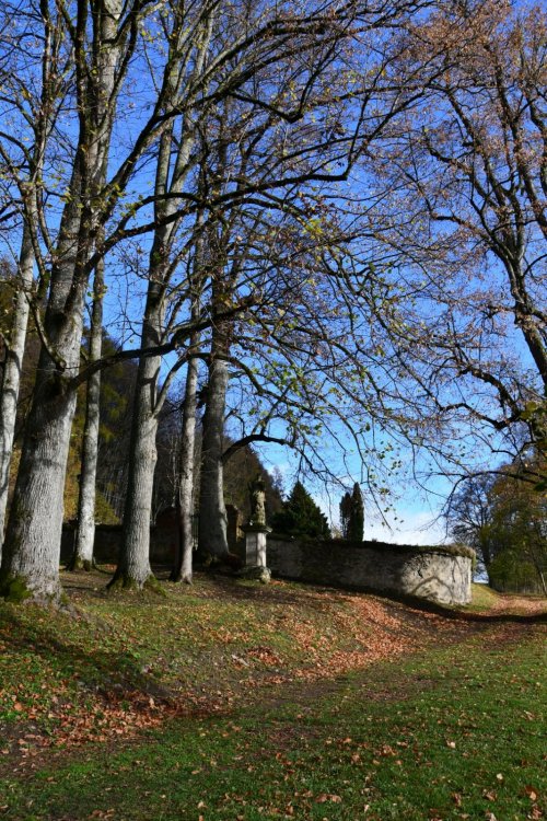 Pivoň