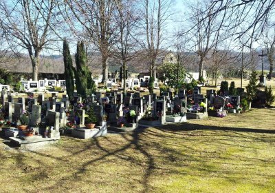 Beran Stanislav, 2016