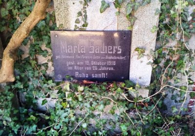 Beran Stanislav, 2016