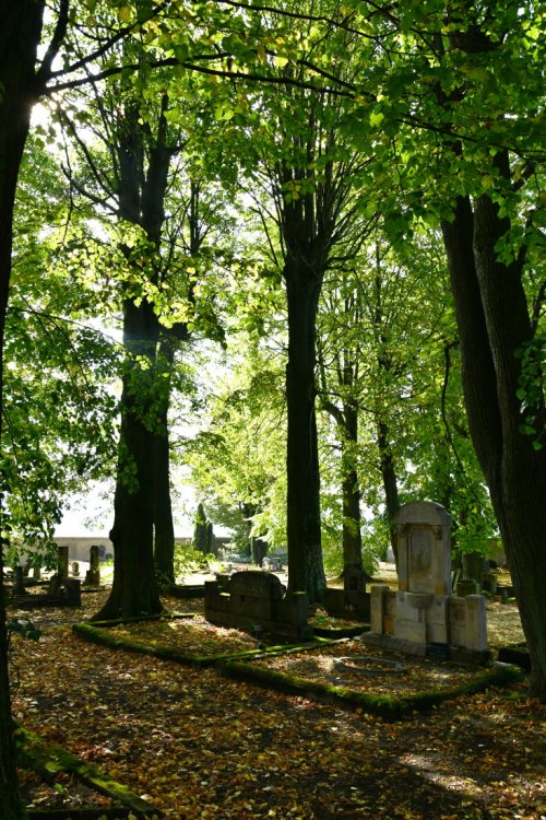 Malá Bukovina
