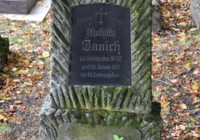 Omnium, 2020