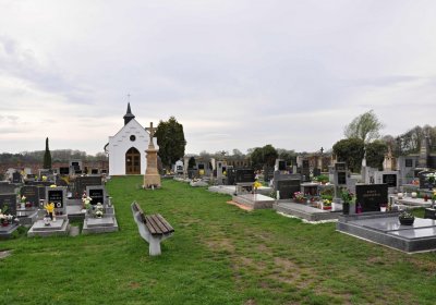 Vysoká nad Labem, Omnium, 2017