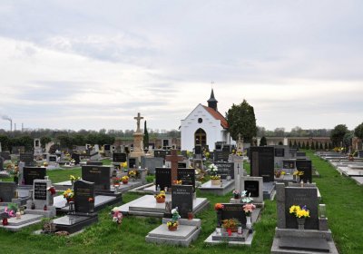 Vysoká nad Labem, Omnium, 2017