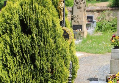 Křesetice, Omnium, 2017