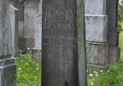 Čáslav - židovský hřbitov, Omnium, 2017