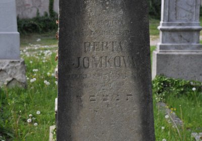 Čáslav - židovský hřbitov, Omnium, 2017