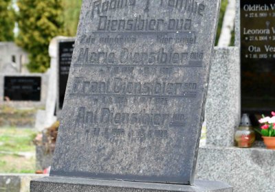 Osek - městský, Omnium, 2018