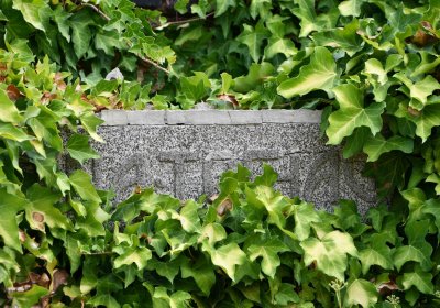 Osek - městský, Omnium, 2018