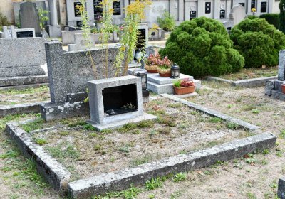 Osek - městský, Omnium, 2018