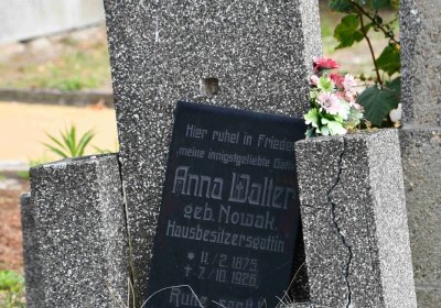 Osek - městský, Omnium, 2018