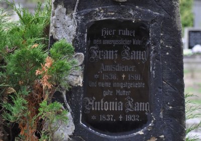 Osek u Duchcova, Omnium, 2018