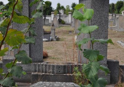 Osek u Duchcova, Omnium, 2018