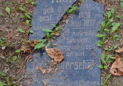 Osek u Duchcova, Omnium, 2018