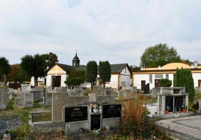 Osek - městský, Omnium, 2018