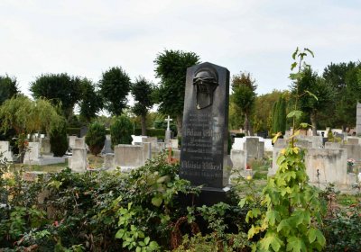 Osek - městský, Omnium, 2018