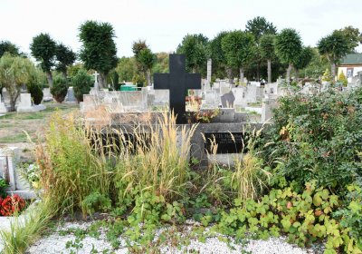 Osek - městský, Omnium, 2018