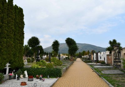 Osek - městský, Omnium, 2018