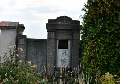 Osek - městský, Omnium, 2018