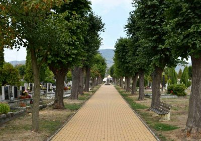 Osek - městský, Omnium, 2018